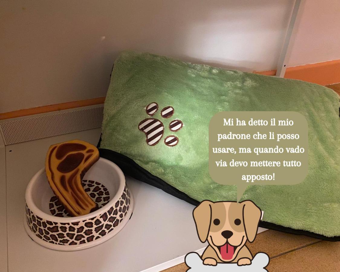 Coolarthome Парма Екстериор снимка